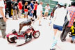 bull dog on scooter