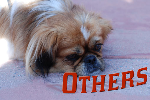 others logo