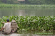 luc binh cleaner