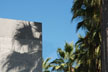 palm trees
