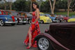 kerbee among cars