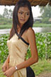 trang in yellow ao dai