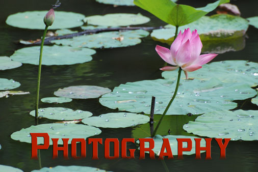 photoImage