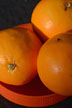 oranges