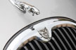 front grill of jaguar