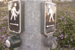 pedestrian signal buttons